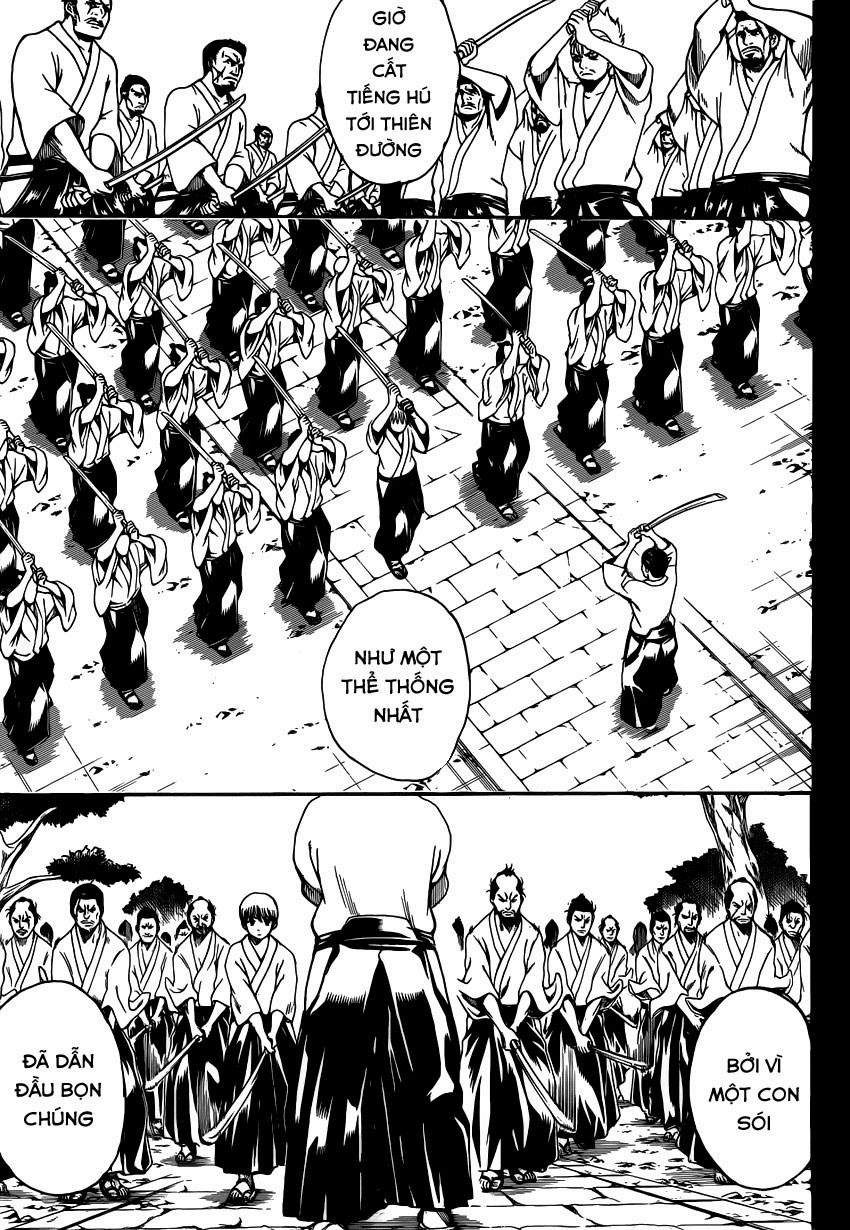 Gintama - Chương 537