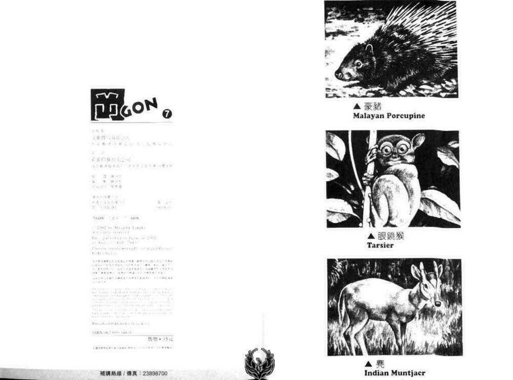 Gon - Chương 24