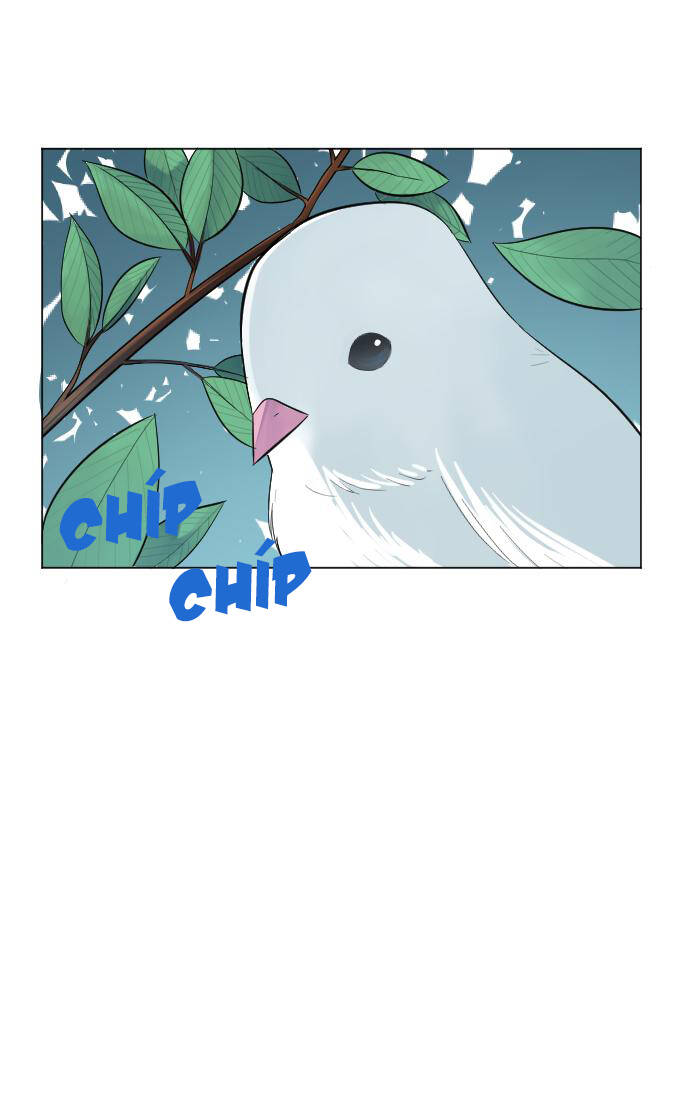 Good/Bad Fortune - Chương 2