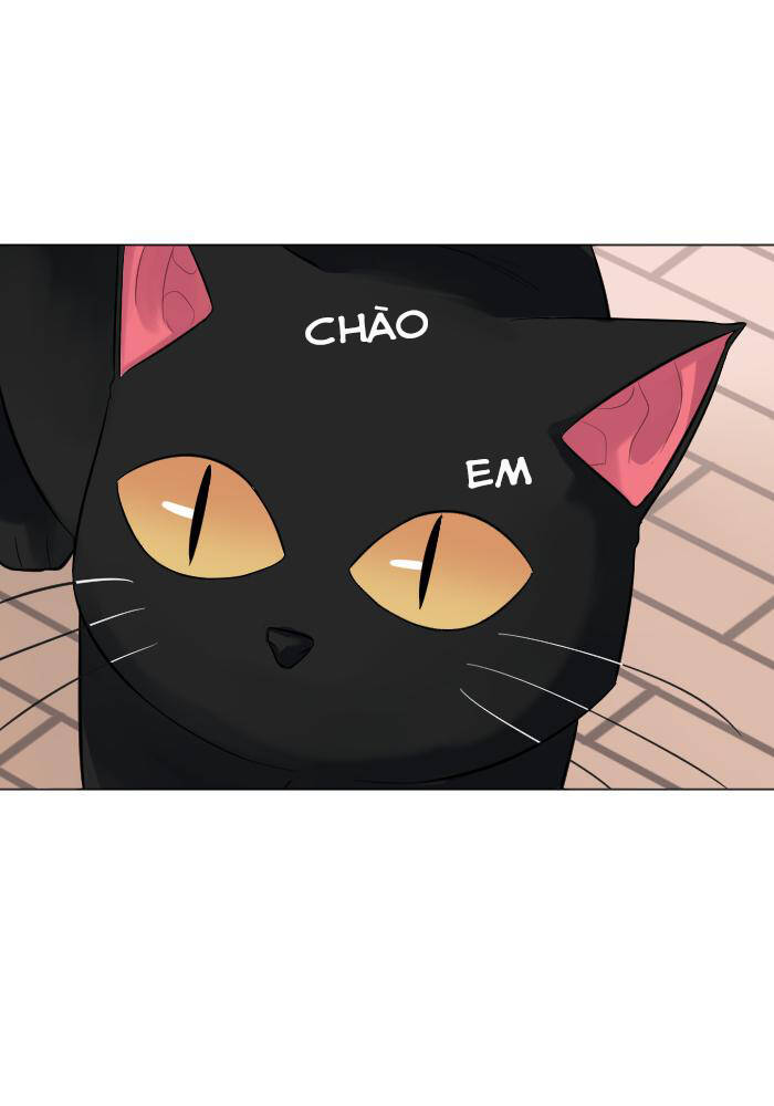Good/Bad Fortune - Chương 6