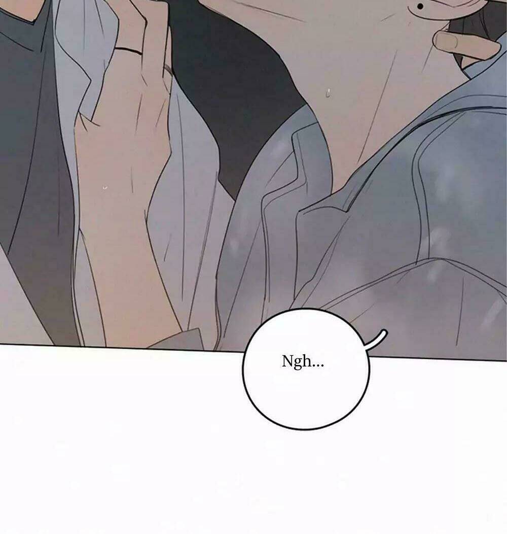 Here U Are - Chương 36
