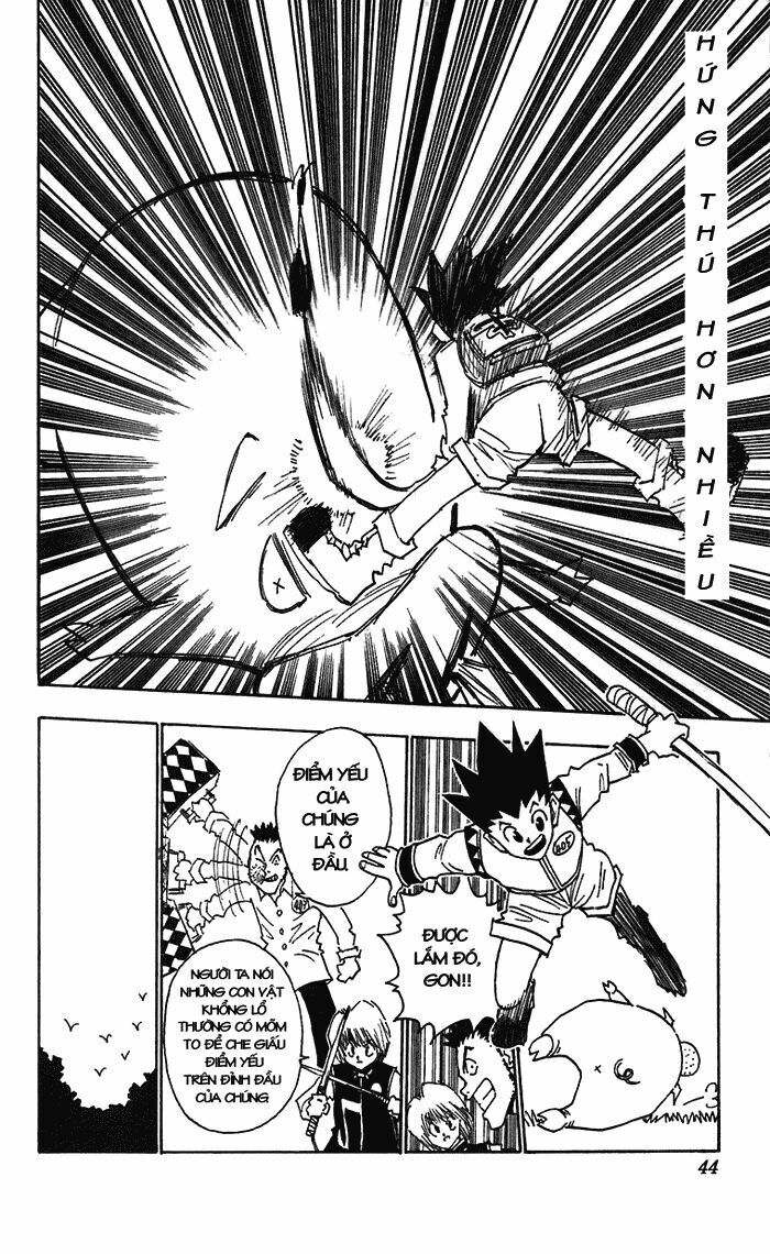 Hunter X Hunter - Chương 10