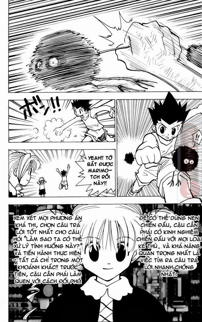 Hunter X Hunter - Chương 141