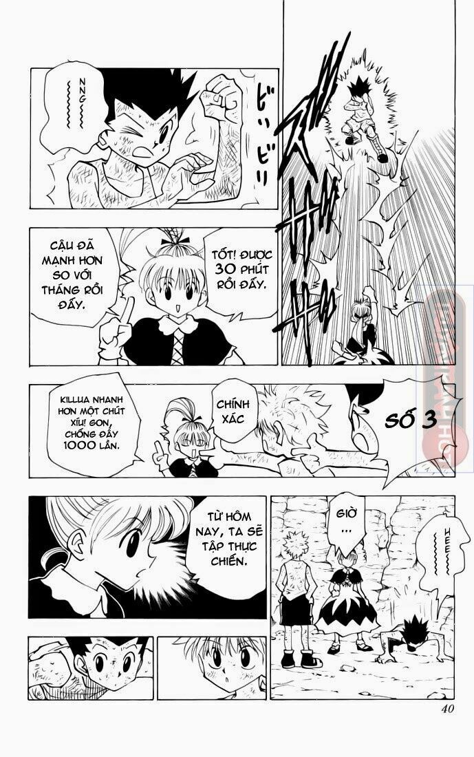 Hunter X Hunter - Chương 142
