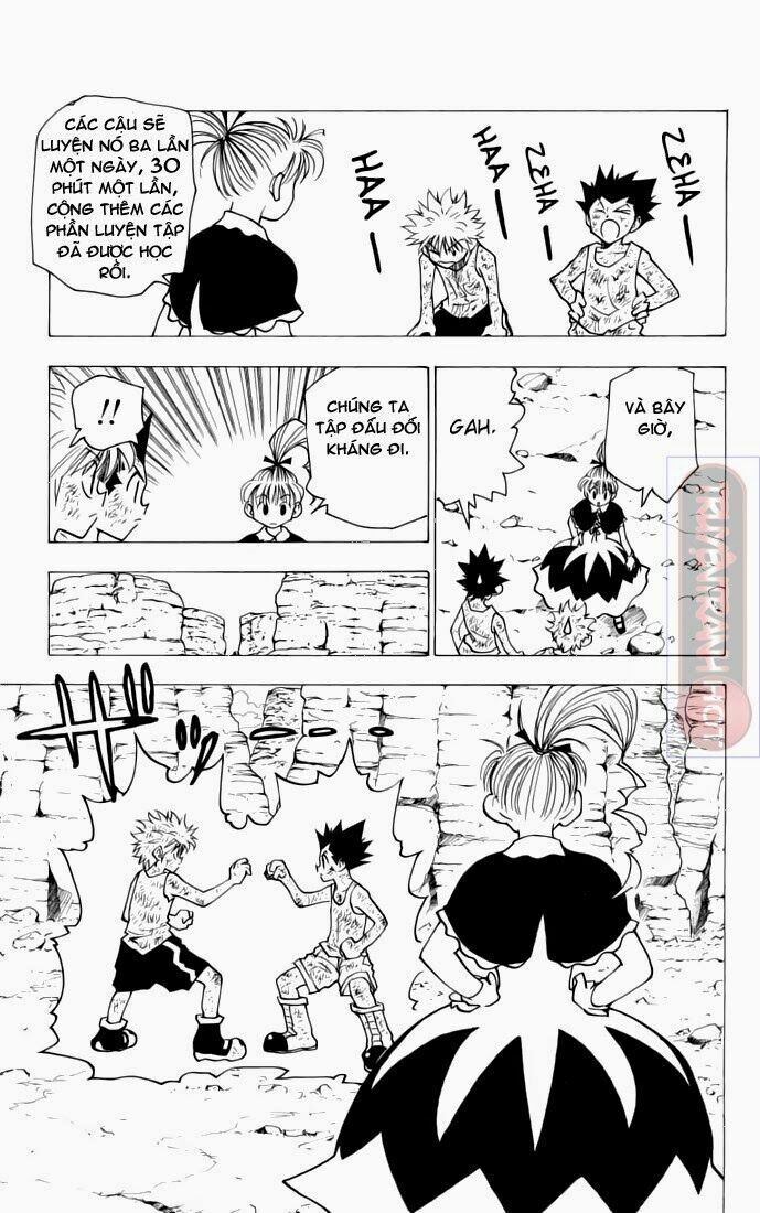 Hunter X Hunter - Chương 142