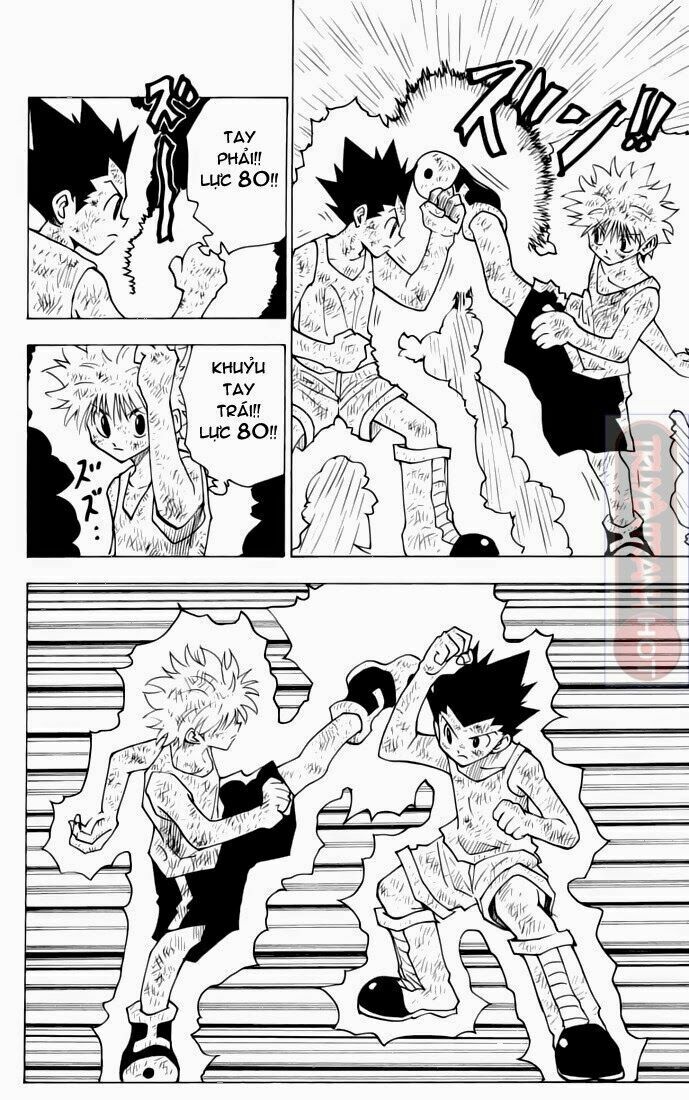 Hunter X Hunter - Chương 142
