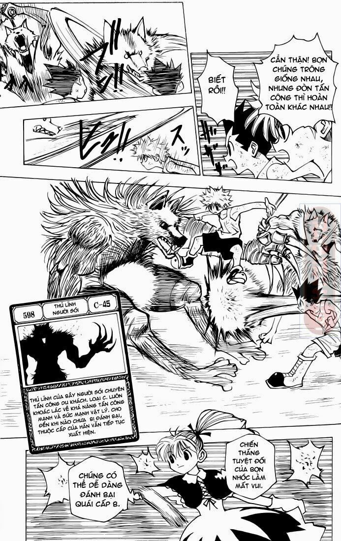 Hunter X Hunter - Chương 146