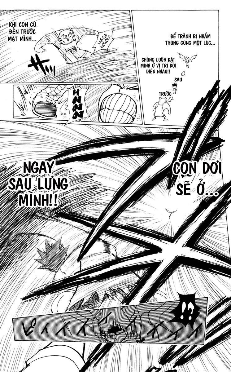 Hunter X Hunter - Chương 233