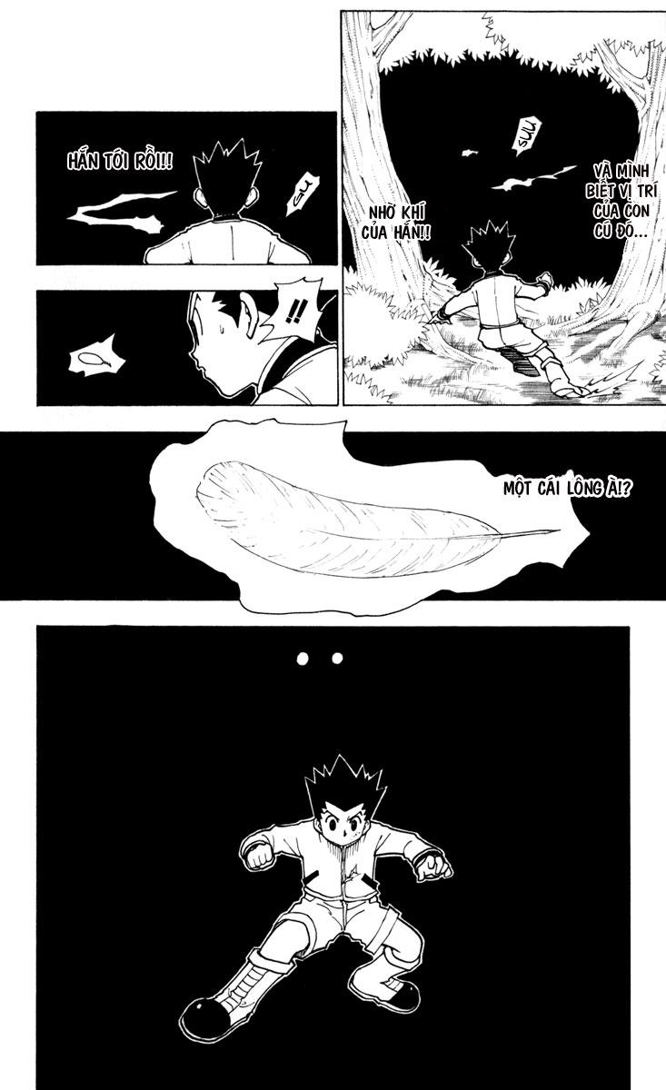 Hunter X Hunter - Chương 233