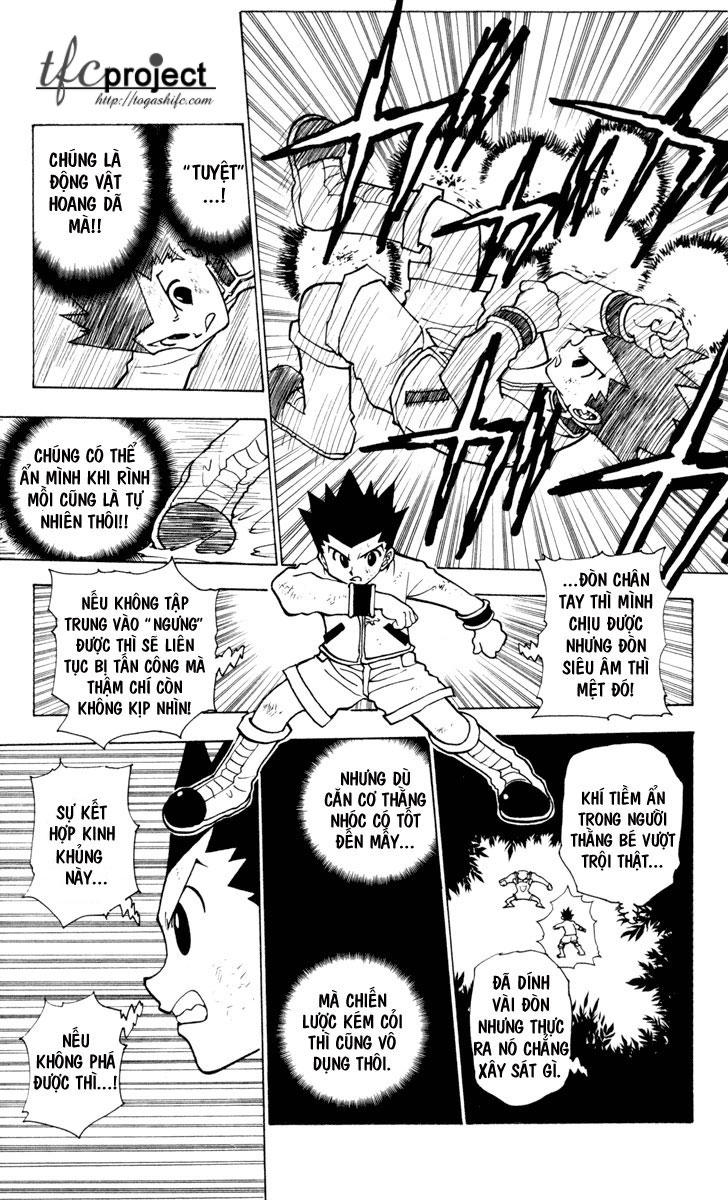 Hunter X Hunter - Chương 233