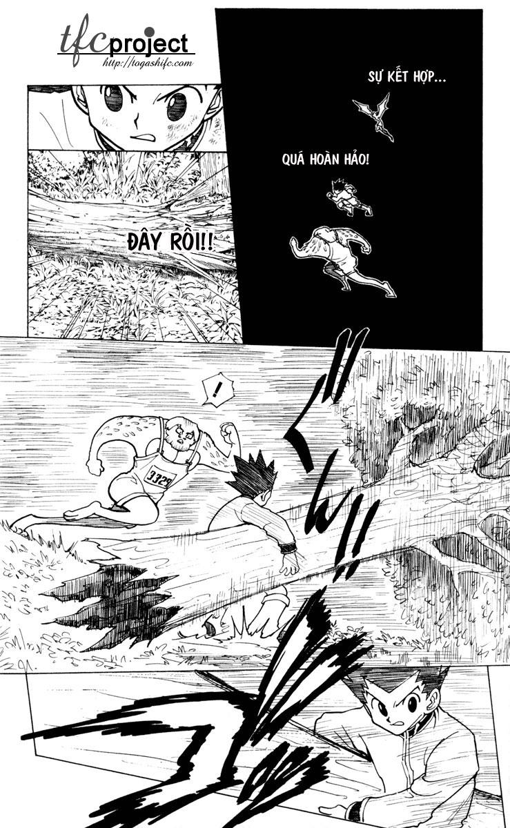 Hunter X Hunter - Chương 233