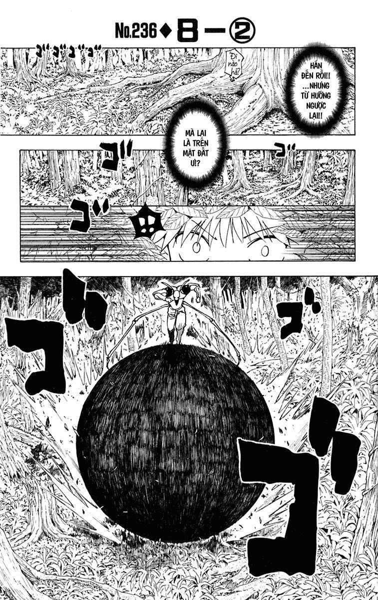 Hunter X Hunter - Chương 236