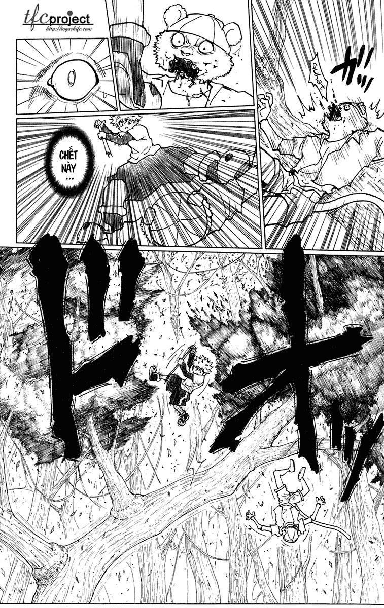 Hunter X Hunter - Chương 236