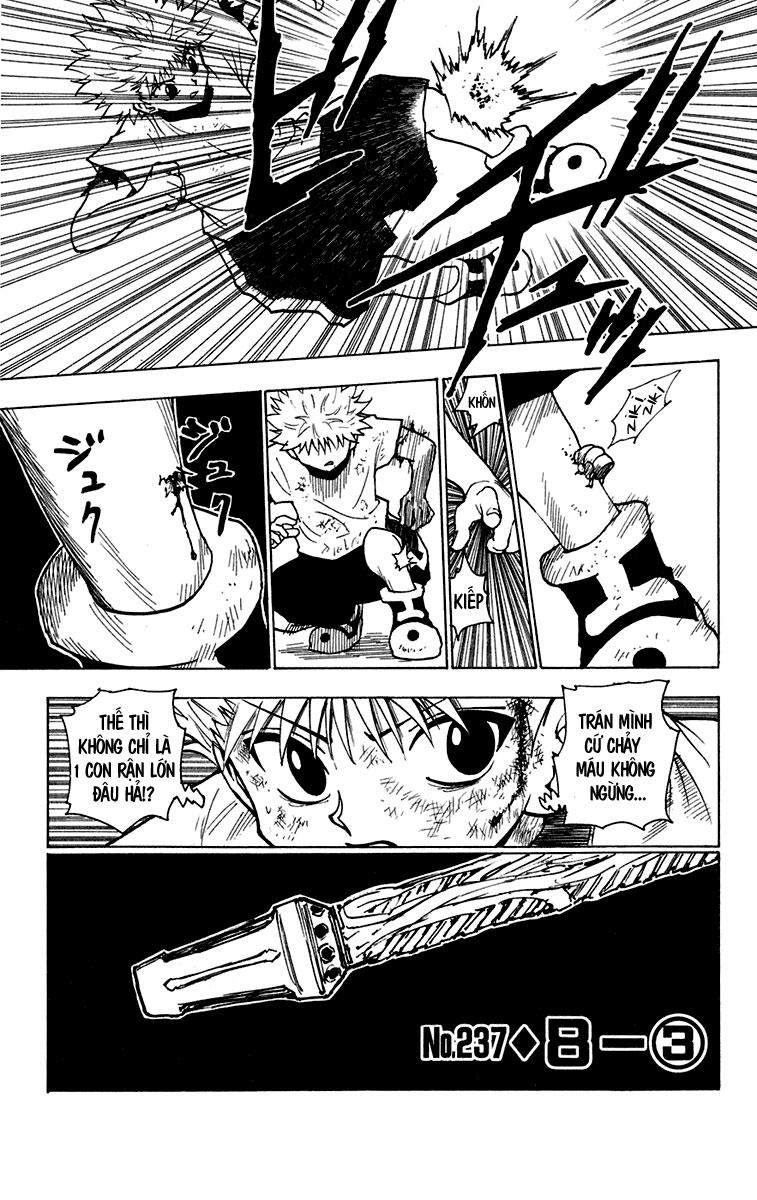 Hunter X Hunter - Chương 237