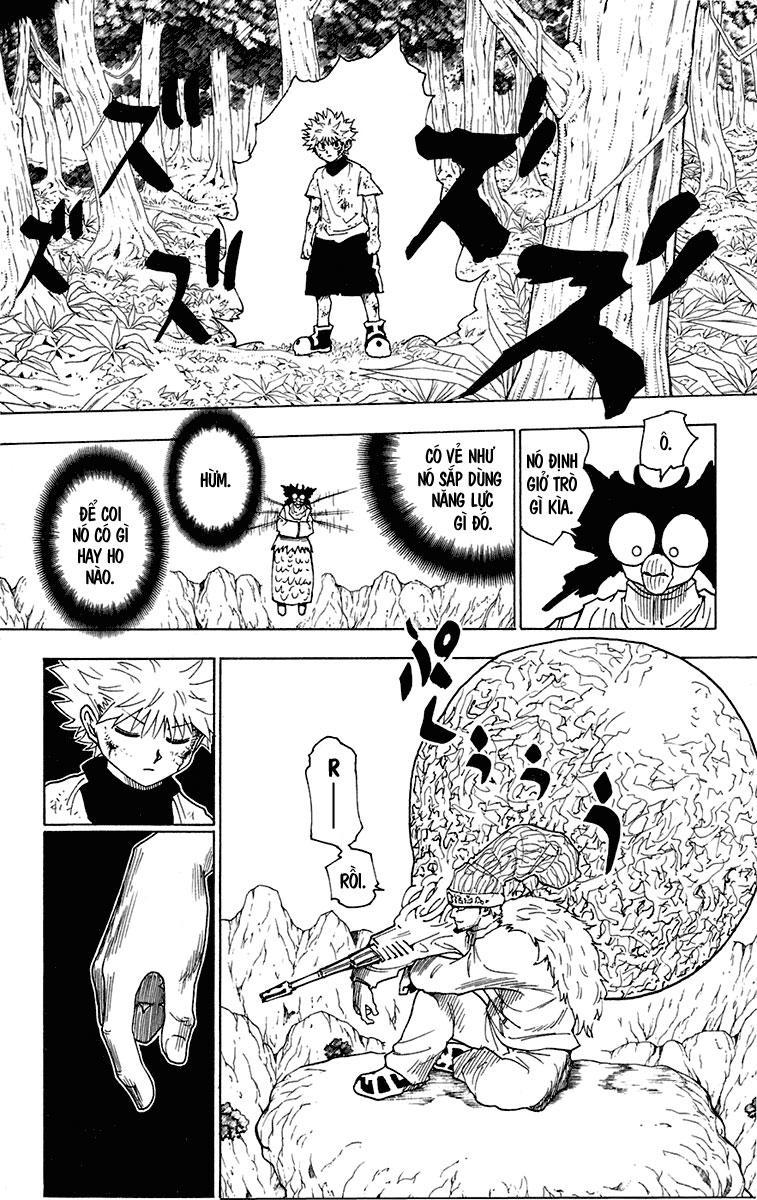 Hunter X Hunter - Chương 237