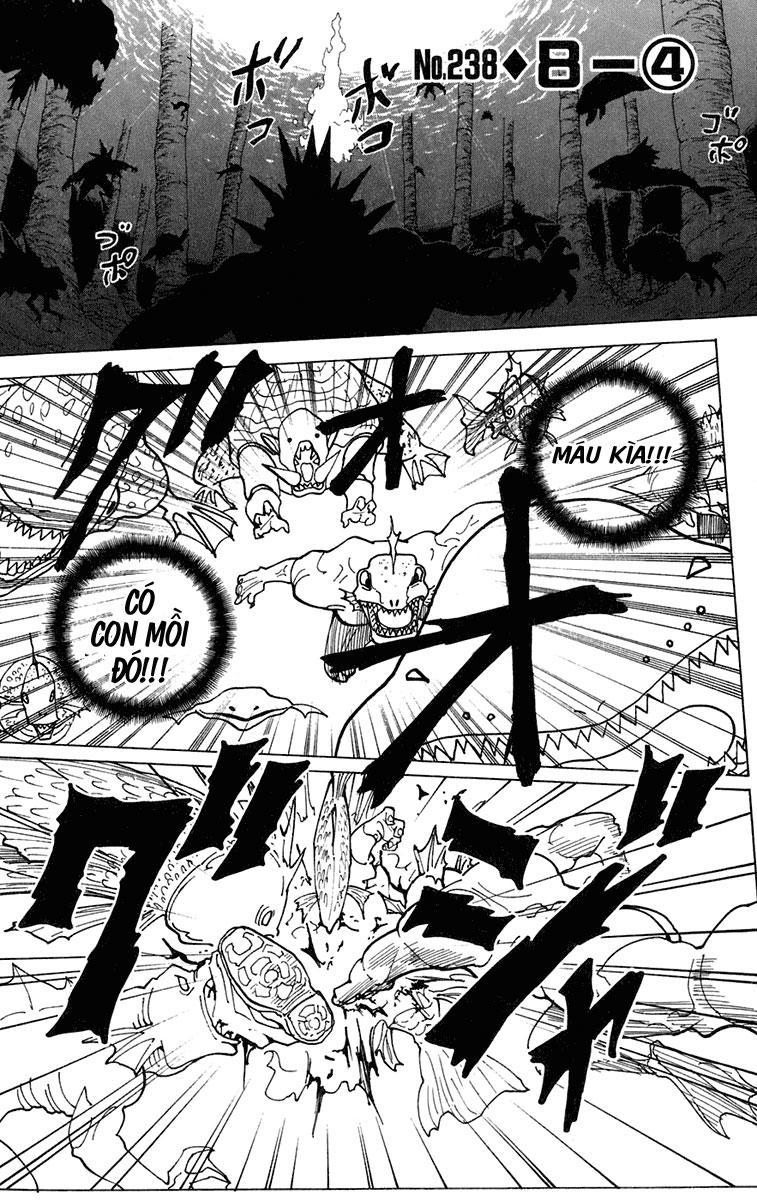 Hunter X Hunter - Chương 238
