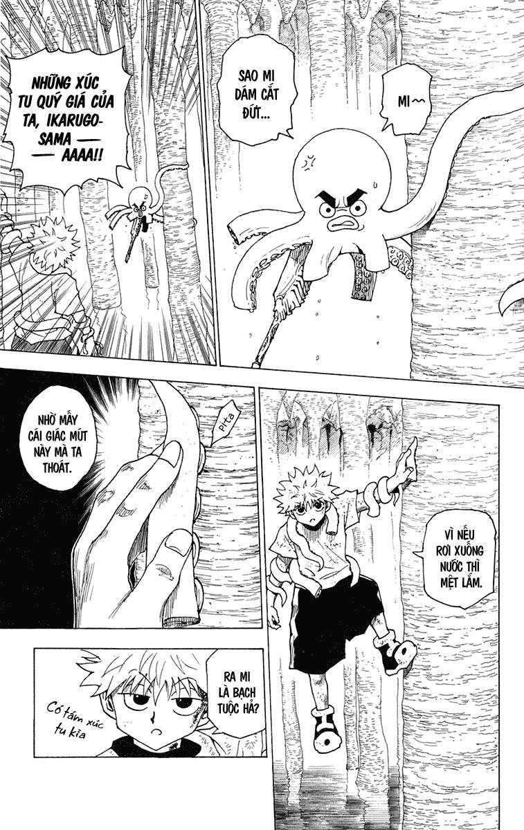 Hunter X Hunter - Chương 238