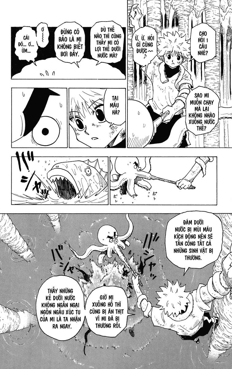 Hunter X Hunter - Chương 238