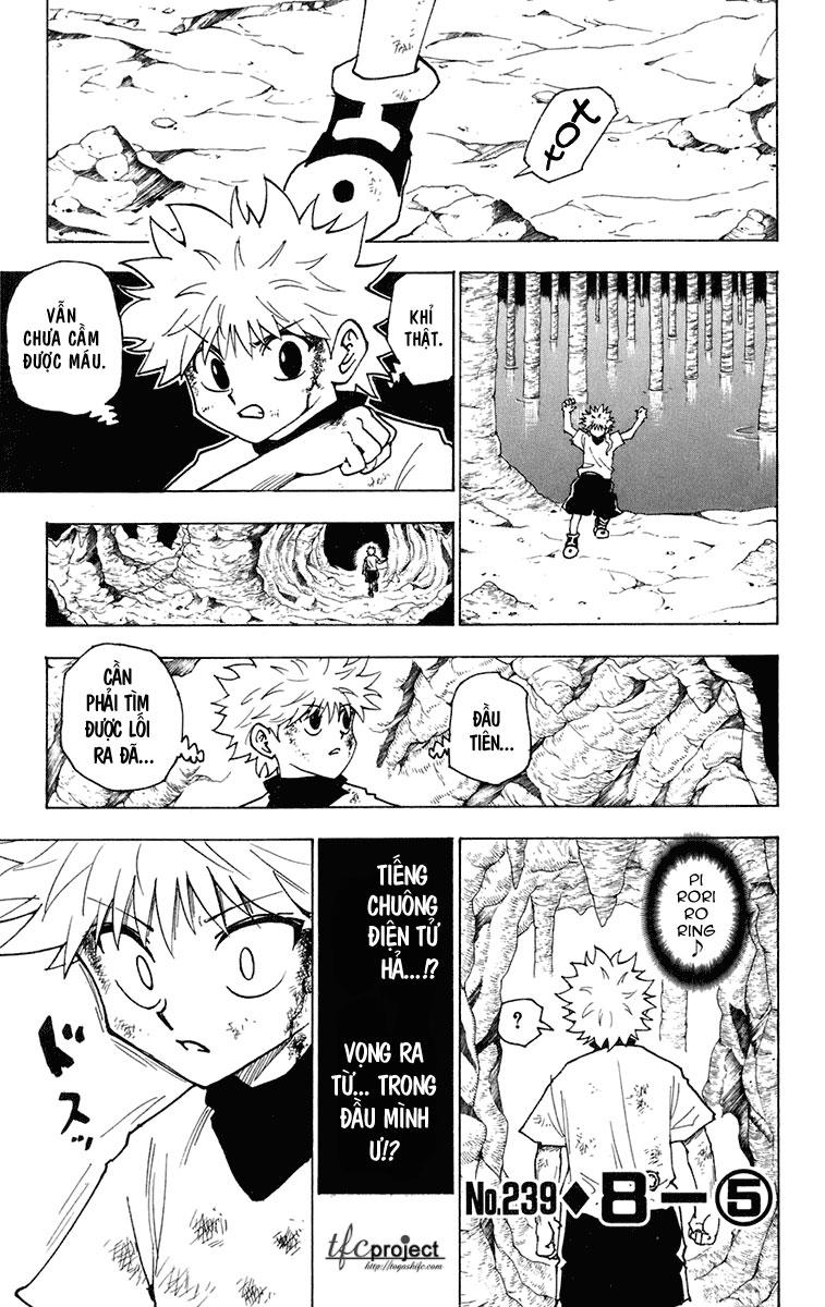 Hunter X Hunter - Chương 239
