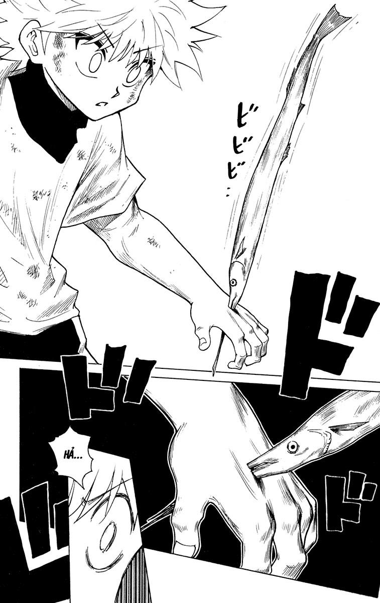 Hunter X Hunter - Chương 239