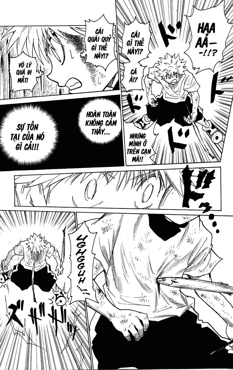 Hunter X Hunter - Chương 239