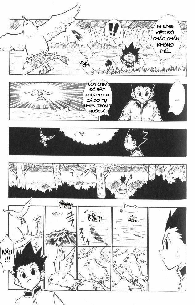 Hunter X Hunter - Chương 24