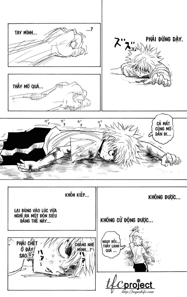 Hunter X Hunter - Chương 241