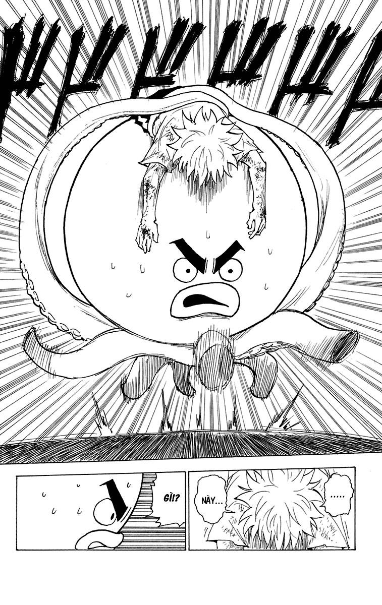 Hunter X Hunter - Chương 241