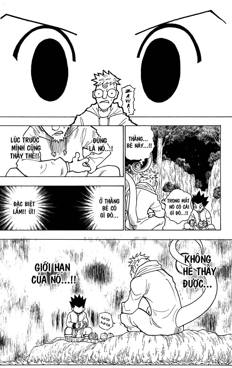 Hunter X Hunter - Chương 242