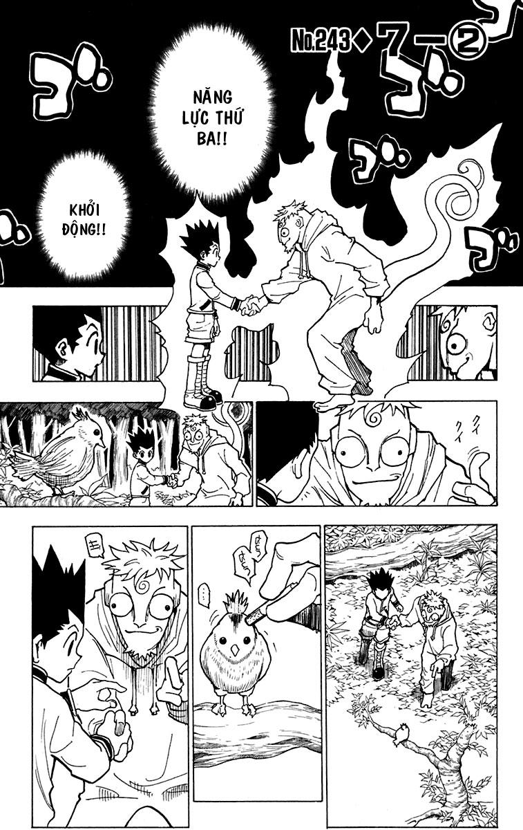 Hunter X Hunter - Chương 243