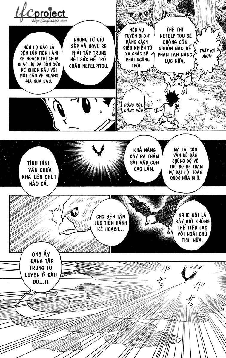Hunter X Hunter - Chương 243