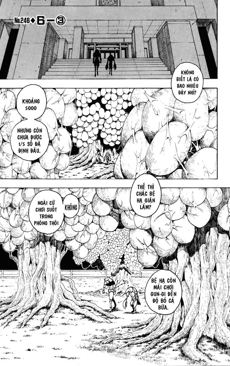 Hunter X Hunter - Chương 246