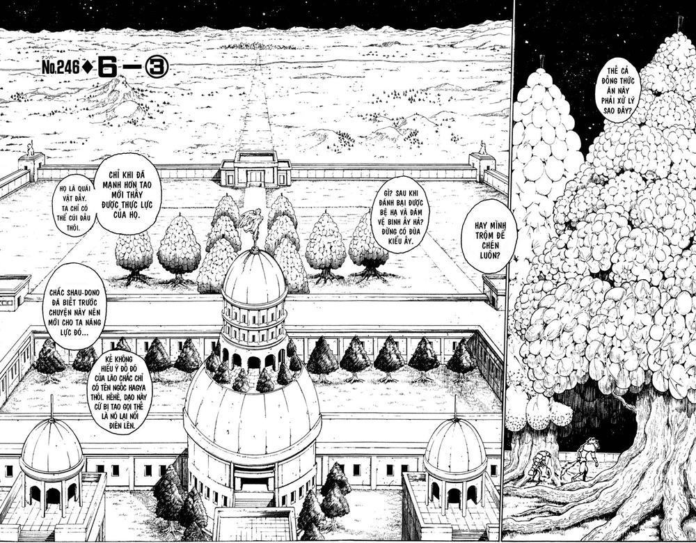 Hunter X Hunter - Chương 246