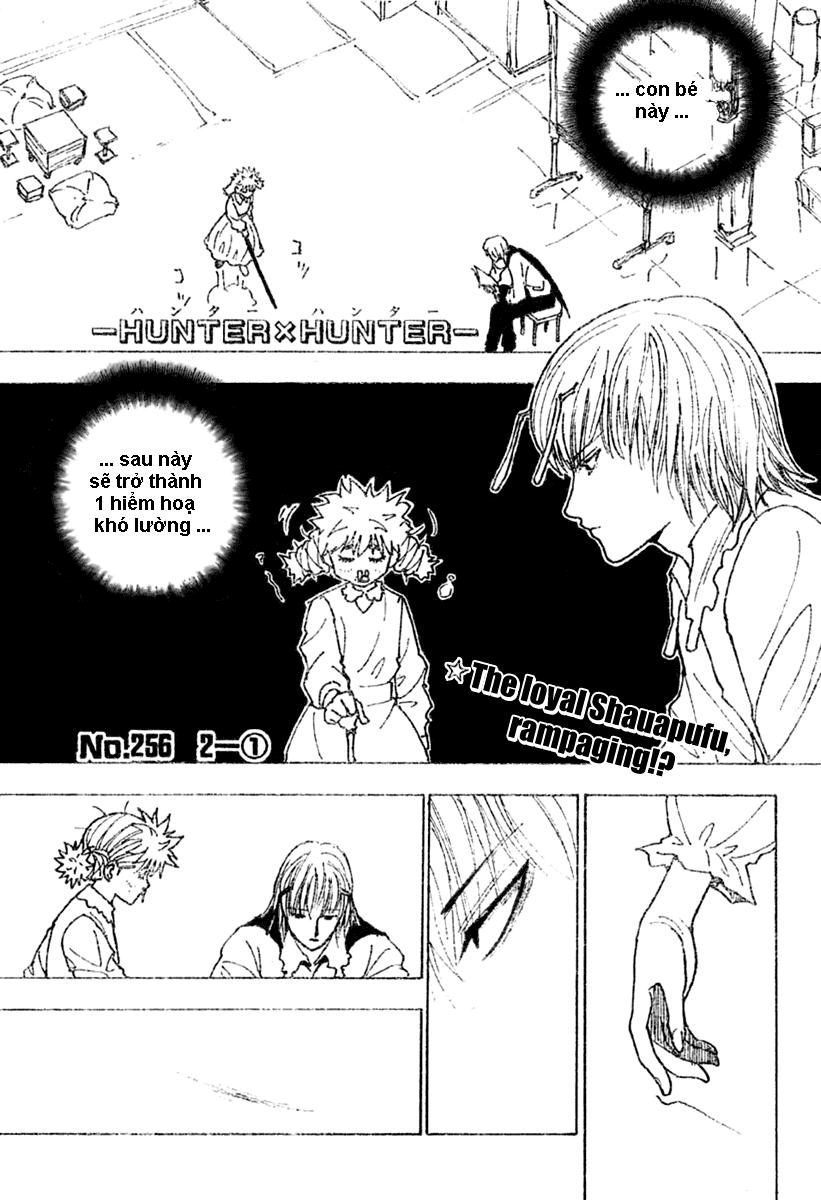 Hunter X Hunter - Chương 256
