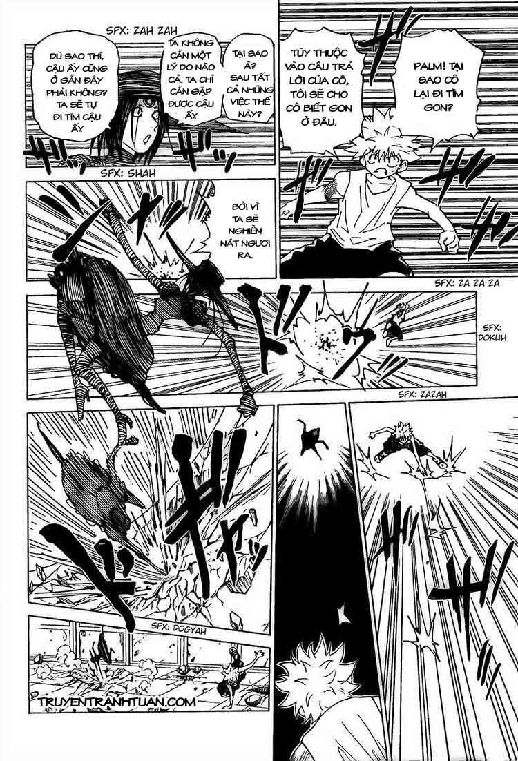 Hunter X Hunter - Chương 294