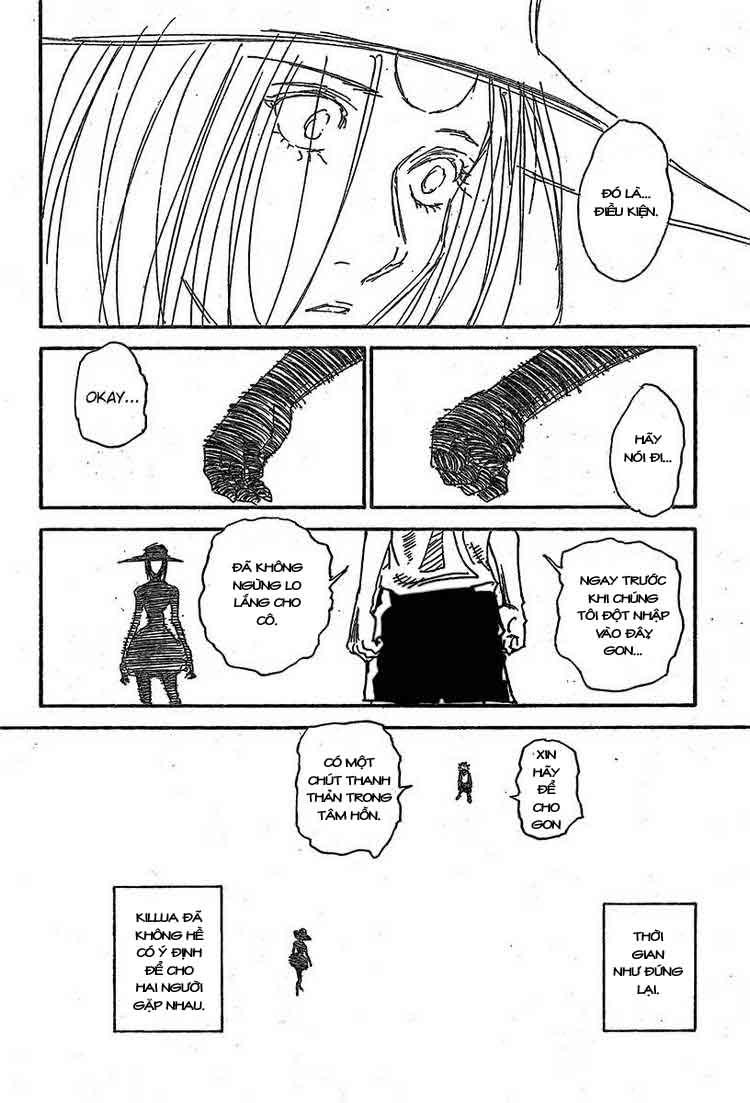 Hunter X Hunter - Chương 294