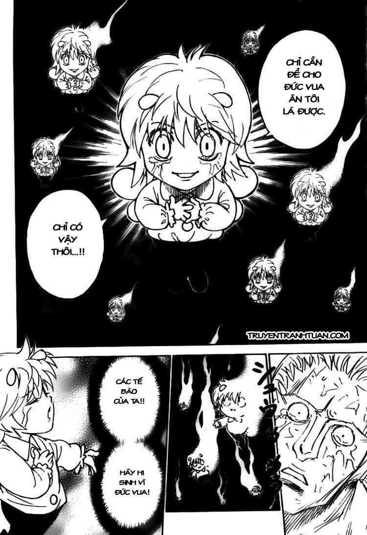 Hunter X Hunter - Chương 299