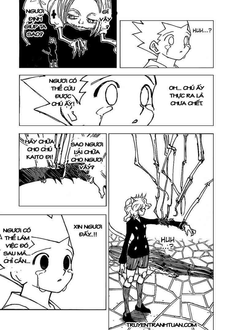 Hunter X Hunter - Chương 305