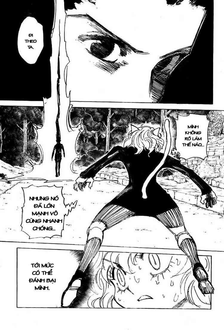 Hunter X Hunter - Chương 306