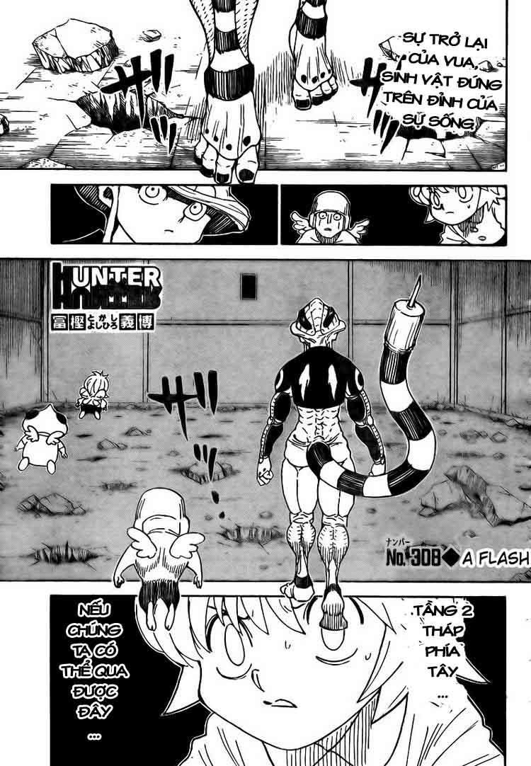 Hunter X Hunter - Chương 308
