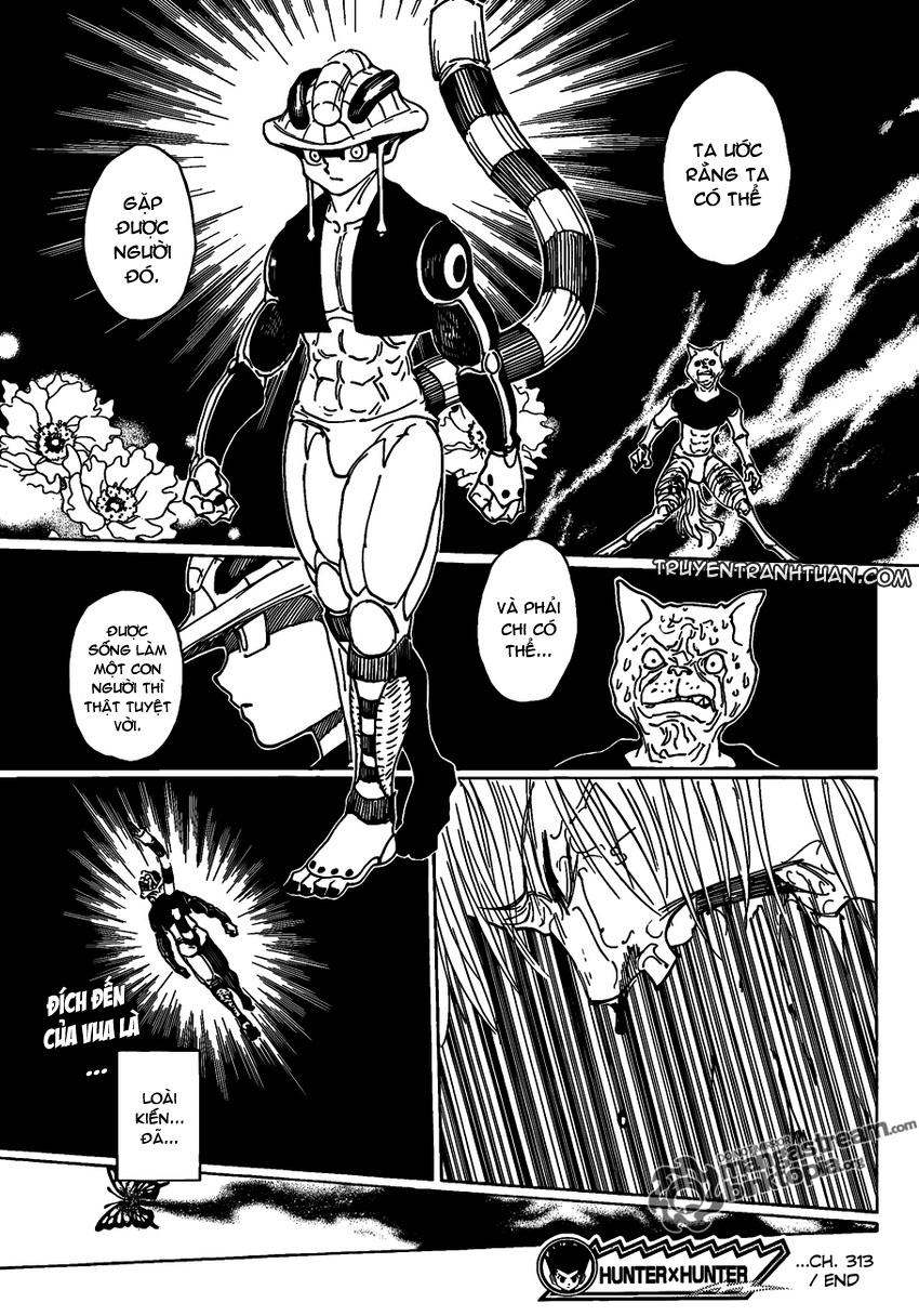 Hunter X Hunter - Chương 313