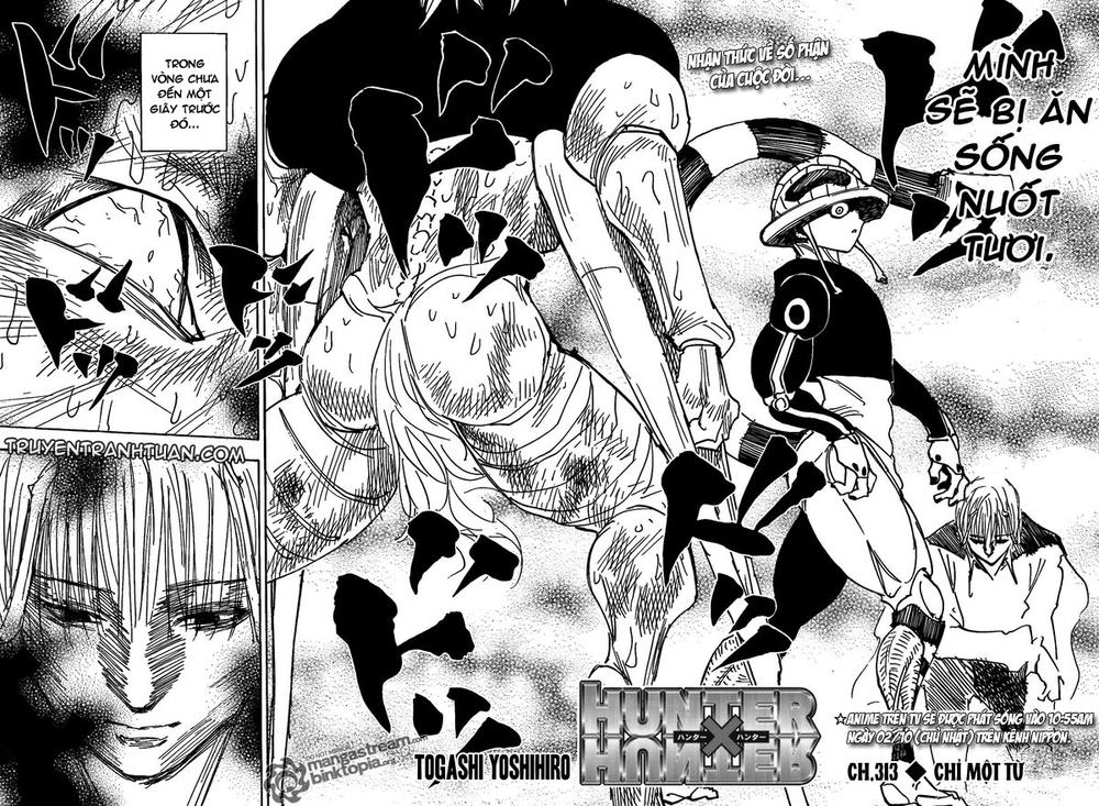 Hunter X Hunter - Chương 313