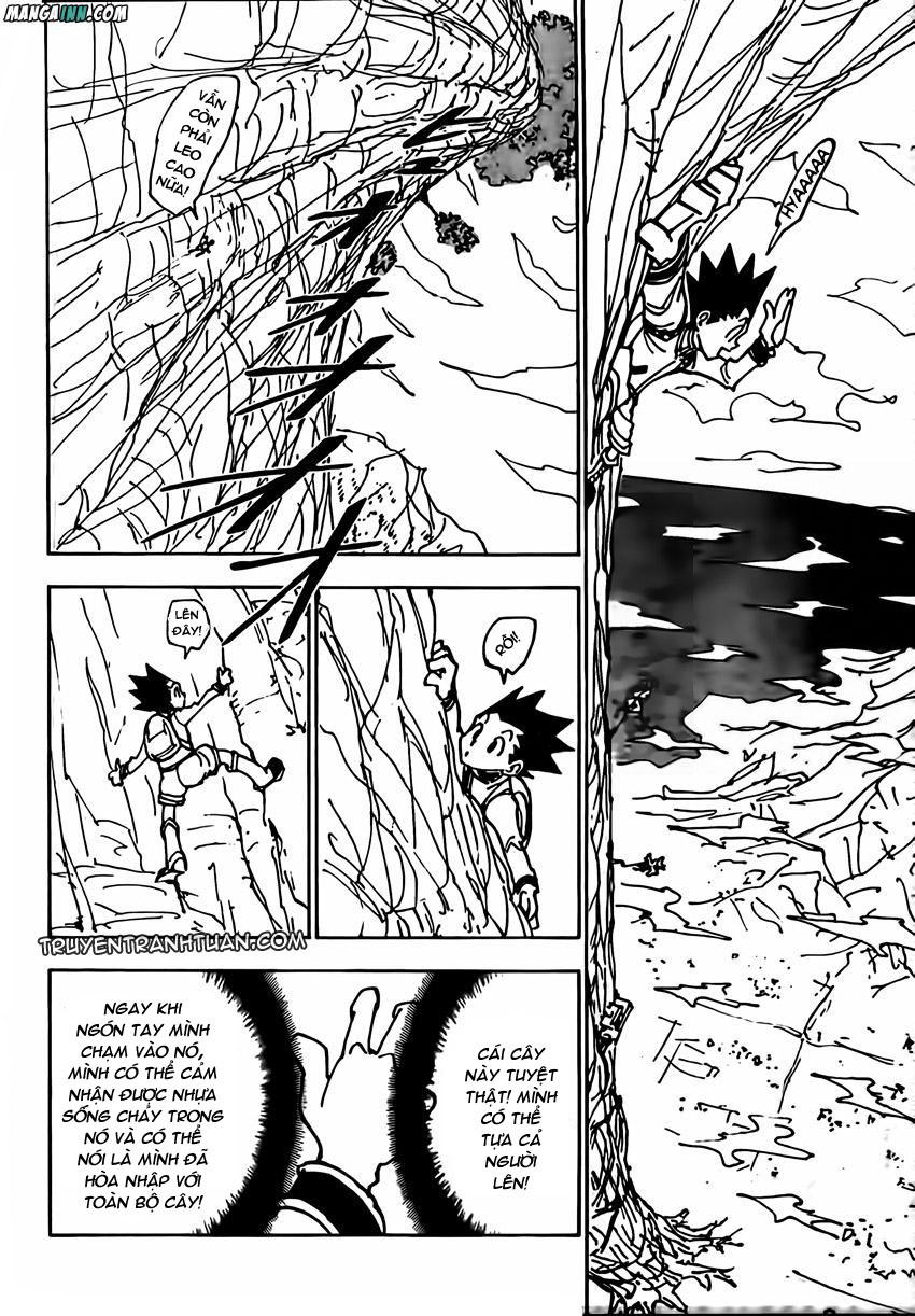 Hunter X Hunter - Chương 338