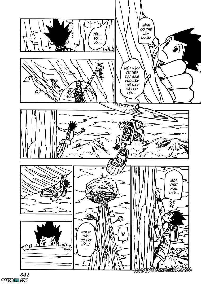 Hunter X Hunter - Chương 338
