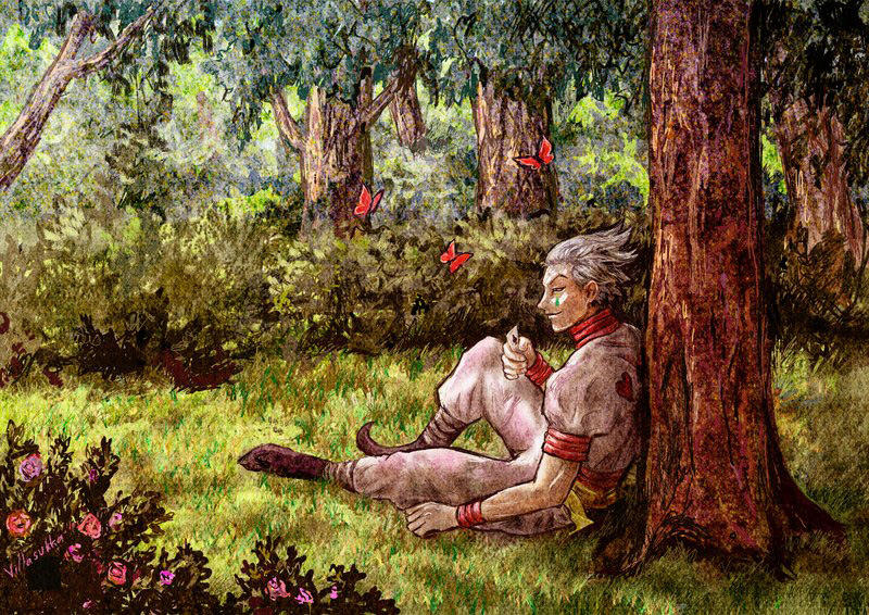 Hunter X Hunter - Chương 342
