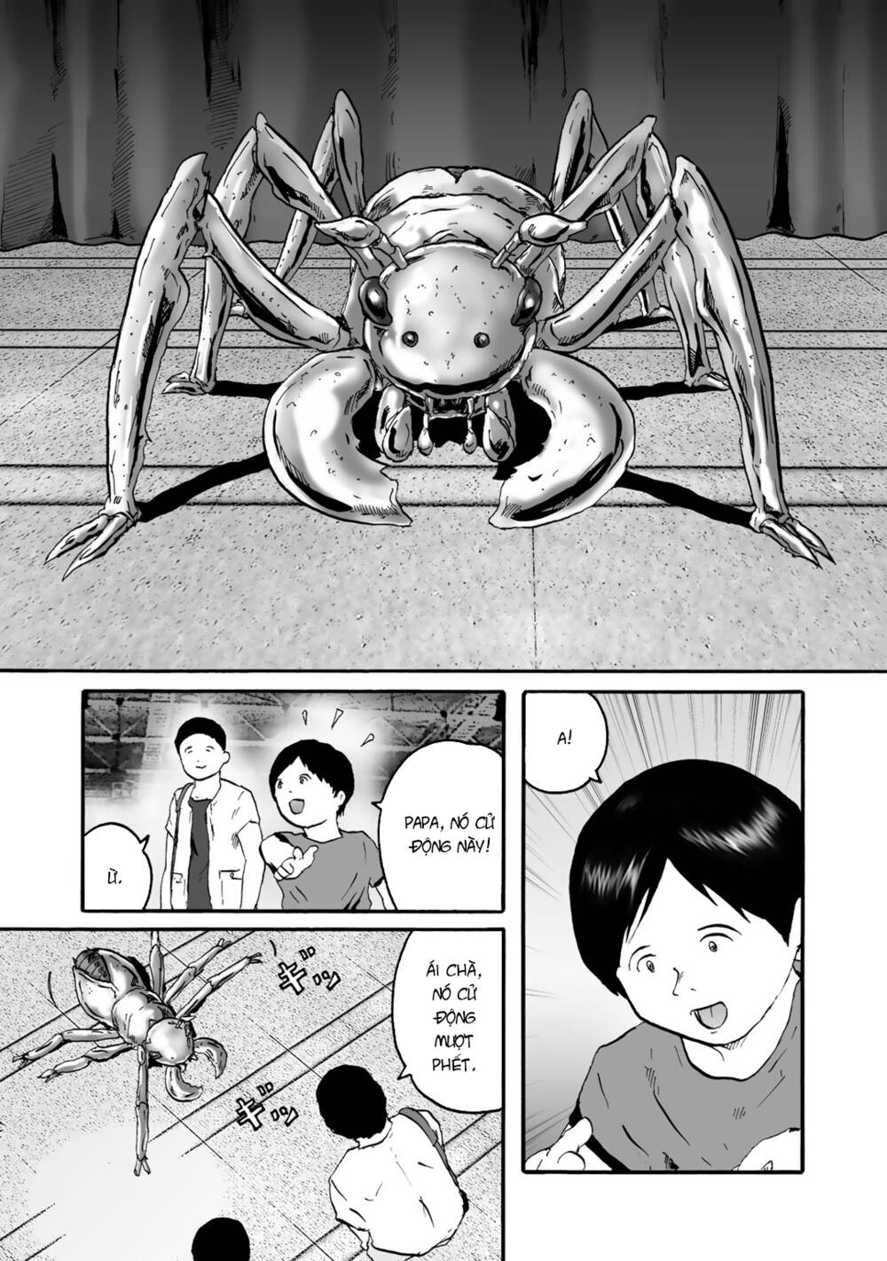 Insects R - Chương 1