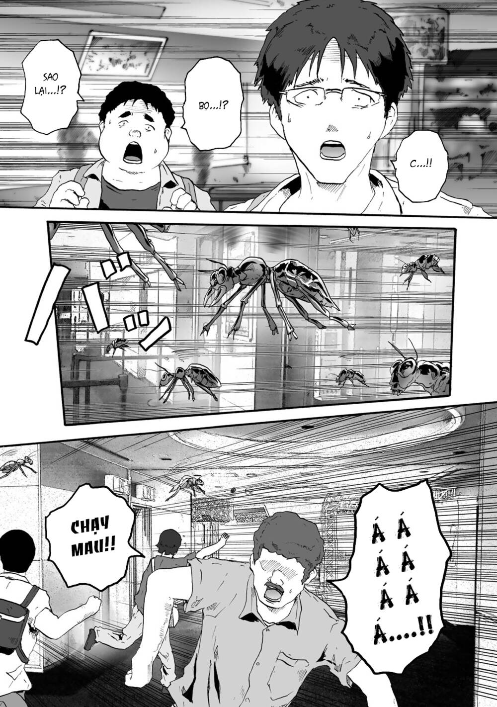 Insects R - Chương 2