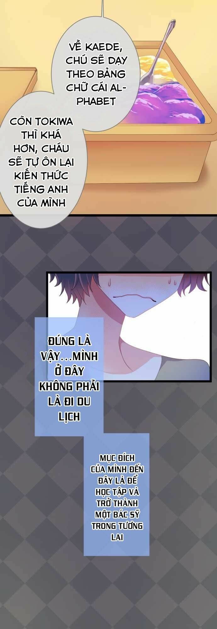 International - Chương 4