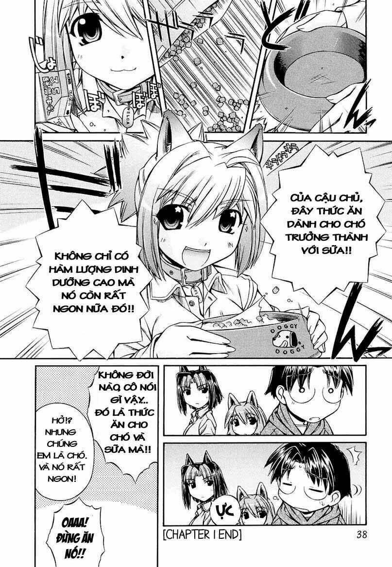 Inumimi - Chương 1