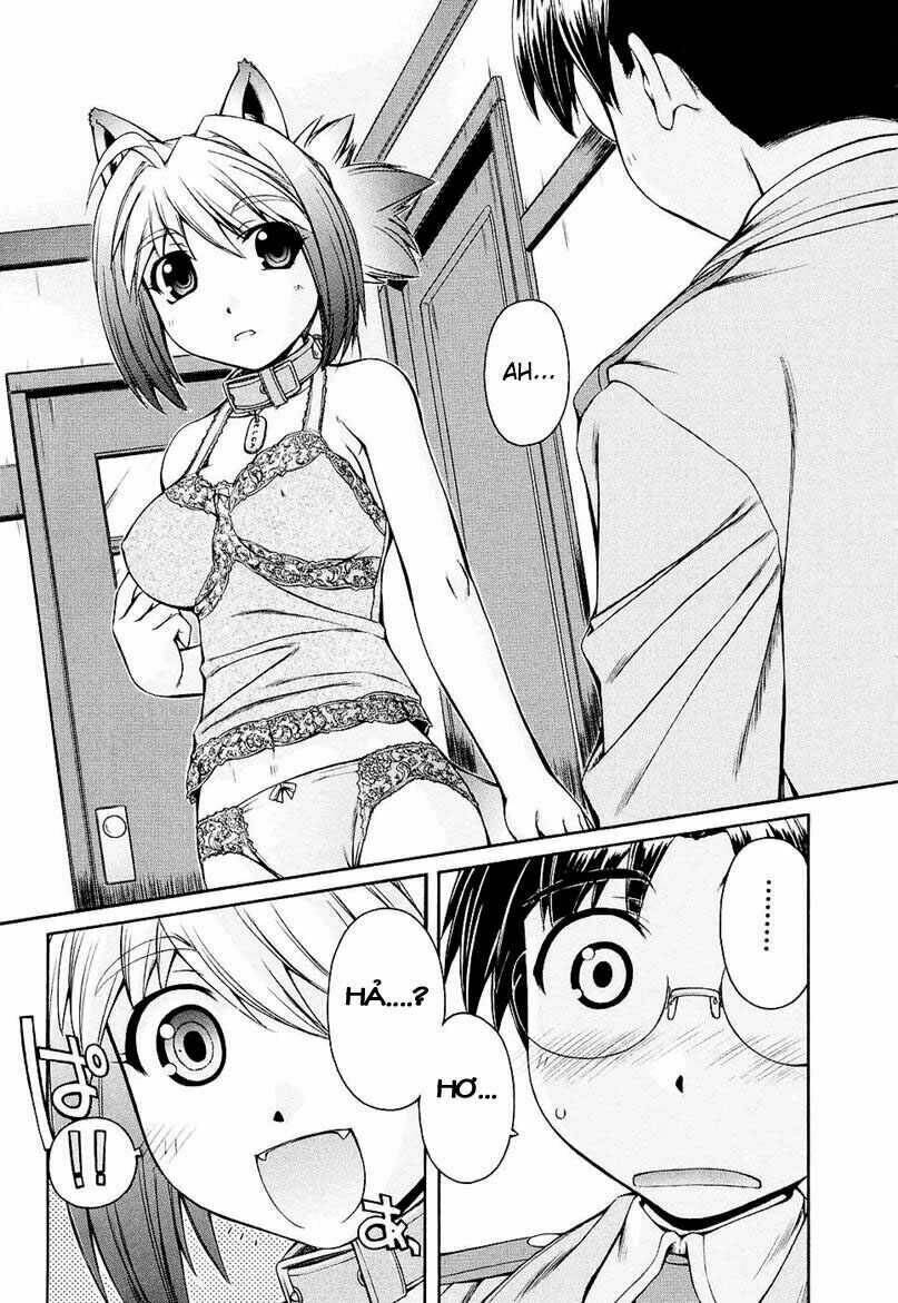 Inumimi - Chương 1